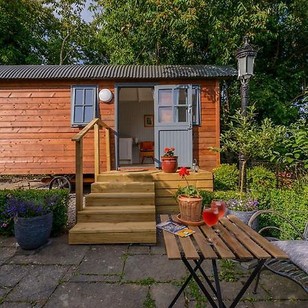 ホテル Hawthorn Hut Kilkenny Glamping At Jenkinstown House Jenkinstown Park エクステリア 写真