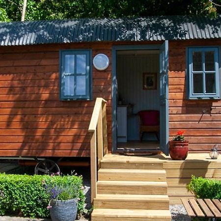 ホテル Hawthorn Hut Kilkenny Glamping At Jenkinstown House Jenkinstown Park エクステリア 写真