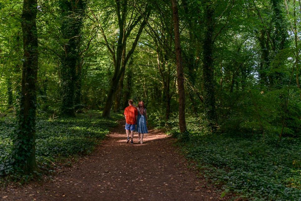 ホテル Hawthorn Hut Kilkenny Glamping At Jenkinstown House Jenkinstown Park エクステリア 写真